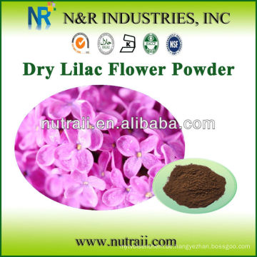 Lilac Powder und Lilac Extract Powder aus Lila Blüte